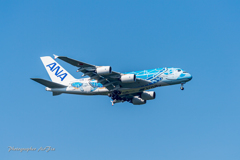 NRT さくらの里 ANA A380- Lani-