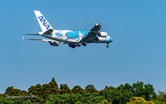 NRT さくらの里 ANA A380- Lani-Ⅱ