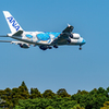 NRT さくらの里 ANA A380- Lani-Ⅱ