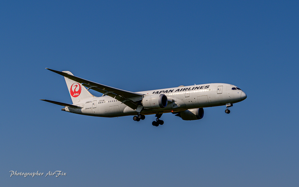 NRT グラウンド横 JAL B8