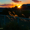 Deepening Autumn #2