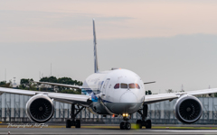 ANA Boeing 787-8 Dreamliner JA824A