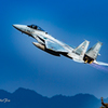 JASDF 305thTactical Fighter Squadron#869