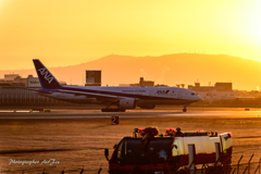 便利ズーム ANA B777