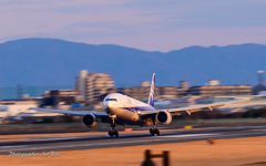 ANA JA707A Touch-down流し