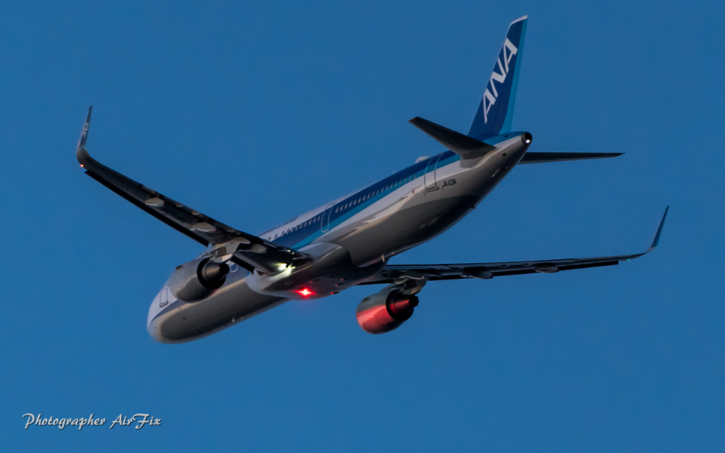 NH-ANA Airbus A321-211 JA113A