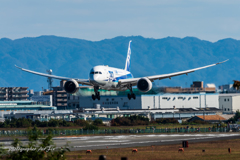 runway32left cleared to land JA817A