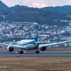 Airport in the New Year #5