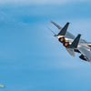 Warehouse jet fighter41