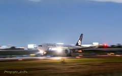 ANA JA711A touch down Panning