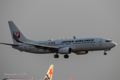 MIYAZAKI BougainvilleaAirport さあ出かけよう