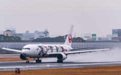 Itami Airport of rain JA602J
