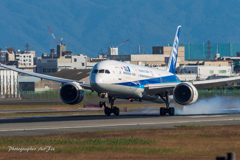 Touch down smoke ANA JA830A