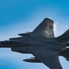305th Tactical Fighter Squadron#855