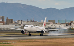 JAL JA603J