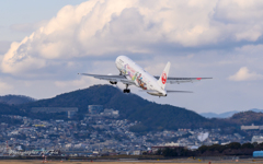 JAL JA612J ITM Ⅲ