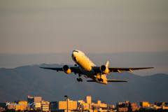 JAL JA008D Take-off