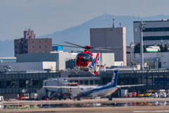 Eurocopter EC135-635　JA30MP Ⅱ