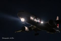 Senrigawa night Mickey Mouse