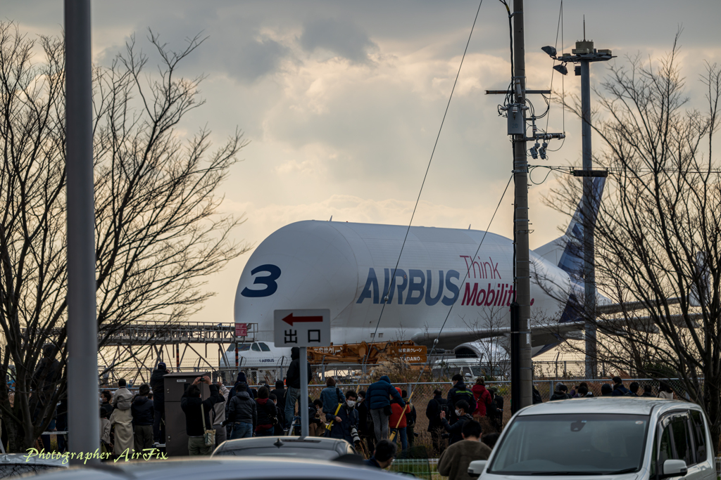 A300-600ST「ベルーガST」No3#4