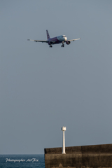MIYAZAKI BougainvilleaAirport inPeach