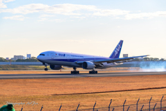 便利ズーム ANA B7
