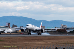 airport life Ⅸ