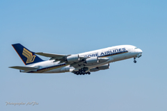 SInGAPORE AIRLInES A380 in NRT さくらの丘