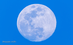 ピンクムーン？