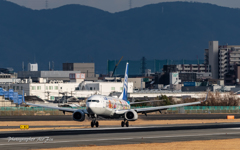 デクラブ (de-crab) デクラブ (de-crab)