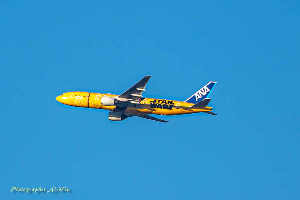 the sunrise on New Year’s Day 13