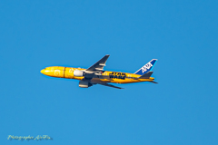 the sunrise on New Year’s Day 13