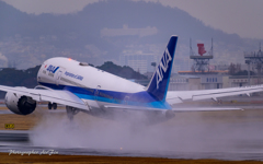 Itami Airport of rain JA825A