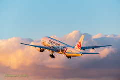 JA773J TOKYO 2020