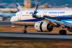 Skypark in ANA AIRBUS-A321neo