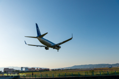 Sanctuary for airplane photography 5