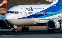 ANA WINGS JA306K Boeing 737-54K