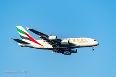 NRT さくらの里 Emirates A380