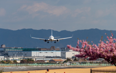 Crosswind landing