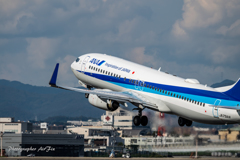NH/ANA WINGS JA75AN