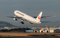 JAPAN AIRLINES JA008D 2