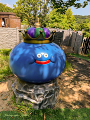 淡路島ニジゲンノモリ#13