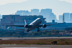 Itami morning JAL oneworld JA771J