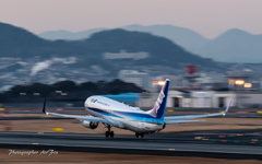 Panning check ANA JA819A-2