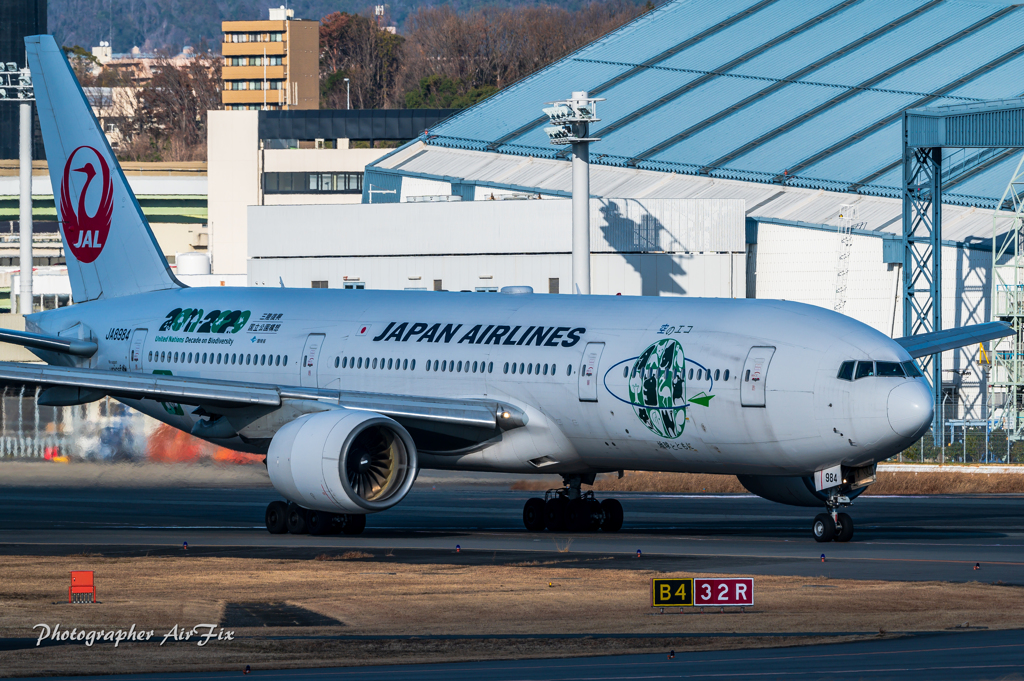 JAL JA8984 空のエコ