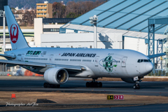 JAL JA8984 空のエコ