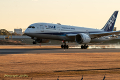 the sunrise on New Year’s Day 6