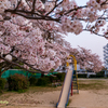 SAKURA Ⅲ