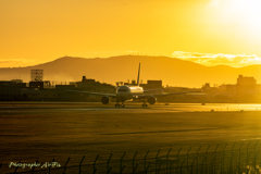 the sunrise on New Year’s Day