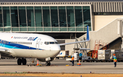 Ground handling(marshalling)